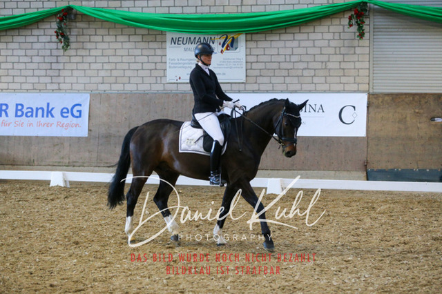 IMG_2854 | Turnierfotos kaufen im Webshop von Daniel Kuhl Photography – entdecke professionelle Reitsportfotos aus Turnieren & Events. Hochwertige Turnierbilder online bestellen & sichern. Jetzt Fotos von Reitsportturnieren kaufen!