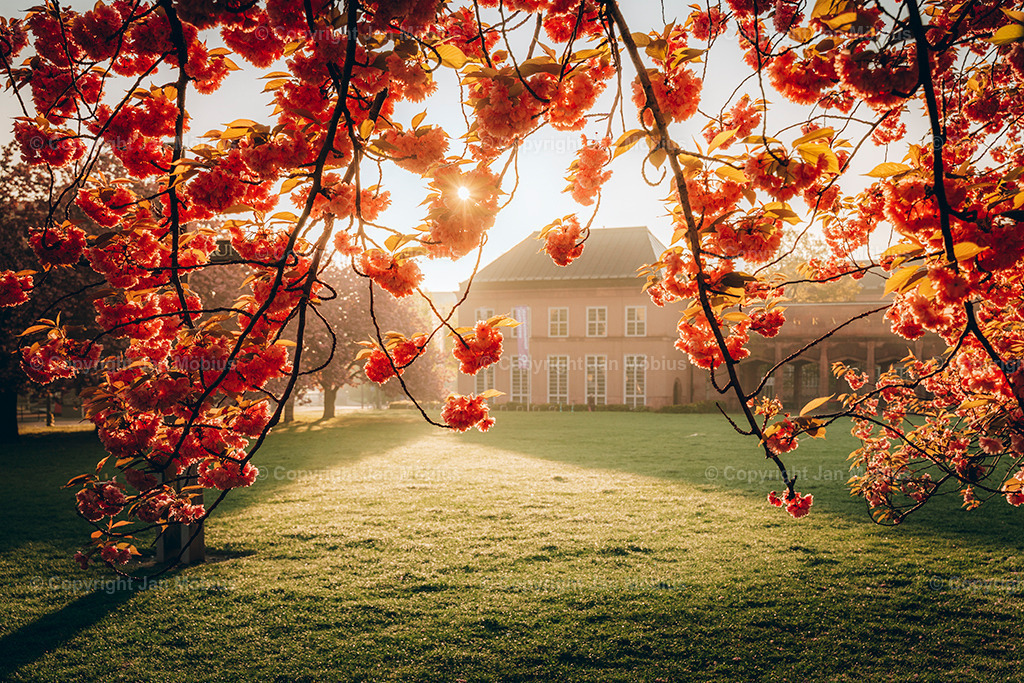 _DSC1806 | Leipzig Wandbilder Drucke Prints Leinwand Stadtmotive Leipzig Fotosdruck Kunstdrucke Bilder Leipzig Stadtansichten Acrylglasbilder Leipzig Wanddeko Fine Art Prints Wandbilder Büro Leipzig Bilder Praxis Zuhause Bilderdruck Poster Posterlounge Kunstdrucke - Realisiert mit Pictrs.com