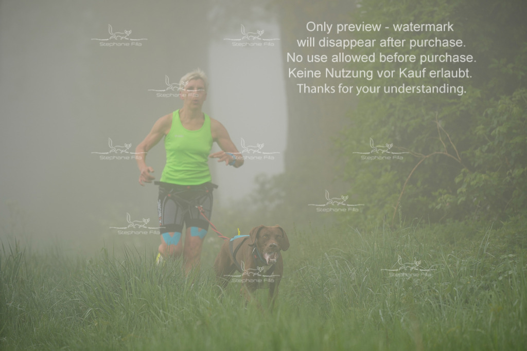 SA_GL2-94 | stephaniefillaphotographie - Realisiert mit Pictrs.com