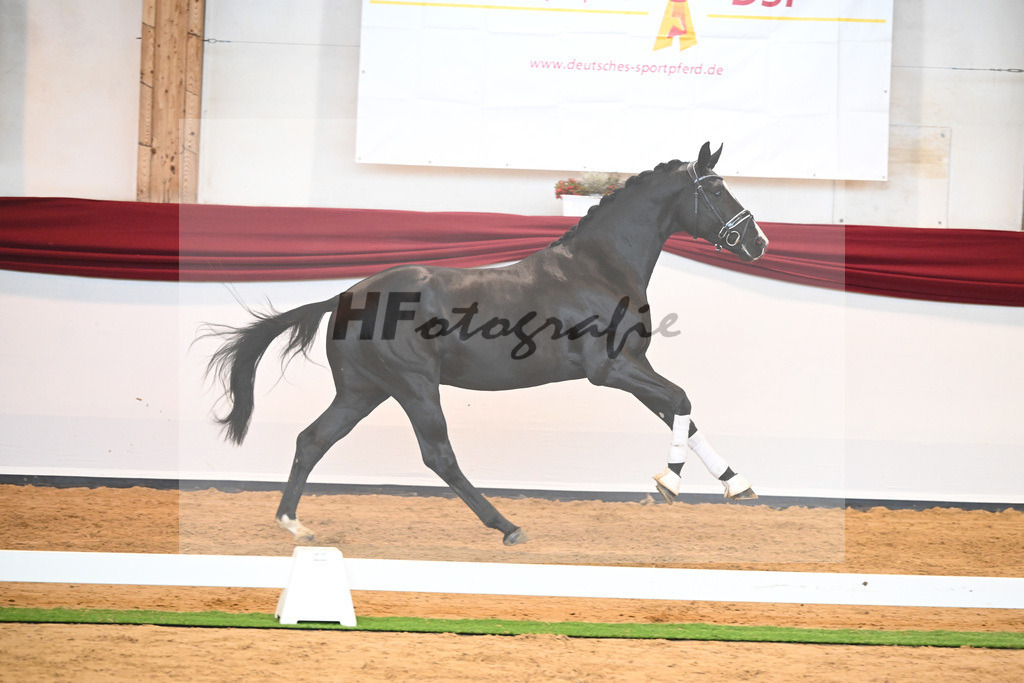 Kat-Nr. 34 v. Fuerstenball_Wurm_66220486 | hf-fotografie - Realisiert mit Pictrs.com
