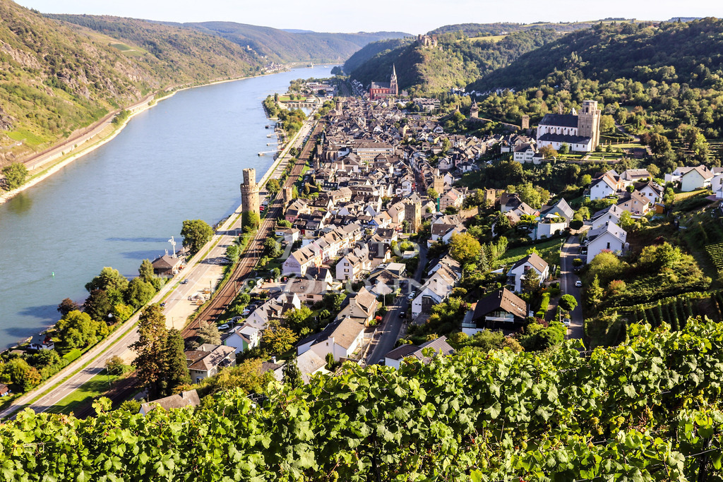 Oberwesel-1398 | Die Premium-Weinlage in Oberwesel am Rhein. - Realisiert mit Pictrs.com
