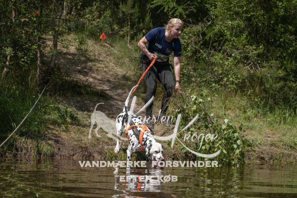 1307DKK993237 | kk-dogfotos