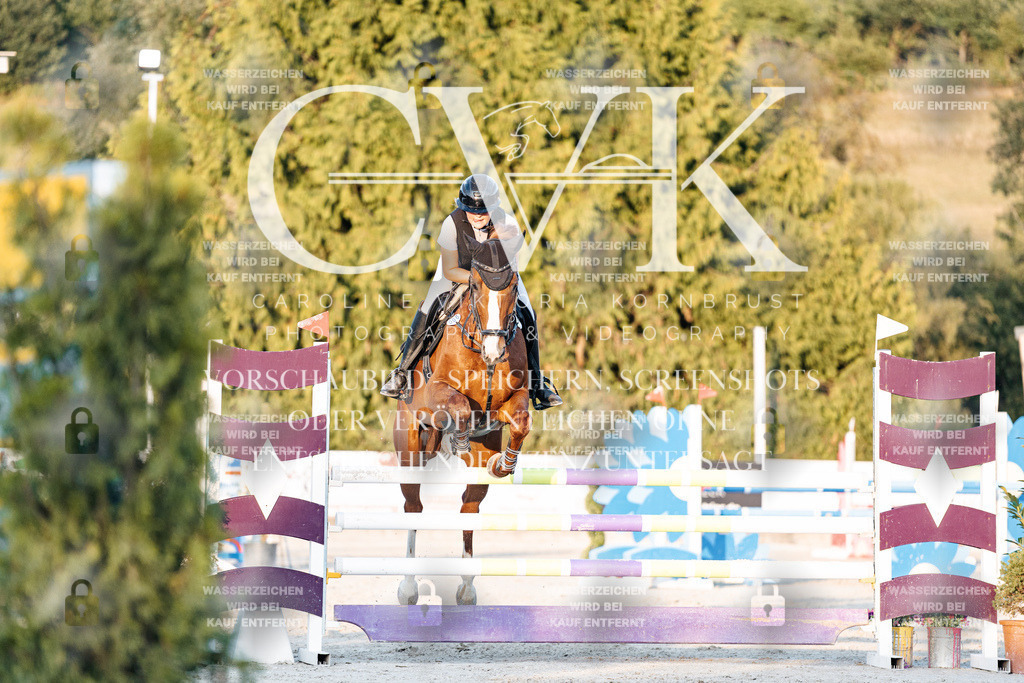 CK901092 | Turnierfotografie Pferdefotografie Trier Rheinland-Pfalz Pferdesport Reitsport Tierfotografie Sportfotografie Pferdevideo Pferdevideografie Equestrianvideography equestrianphotography  - Realisiert mit Pictrs.com