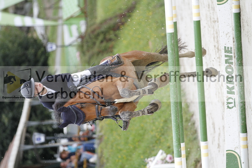 _MG_0387 | equestrian-live-com