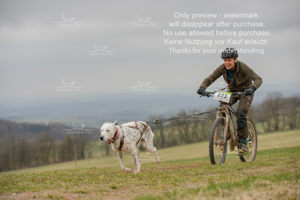 BikeSA-391 | stephaniefillaphotographie - Realisiert mit Pictrs.com