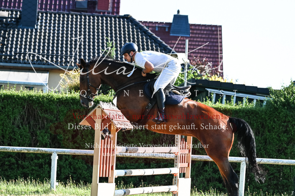 DSC_2736 | Pferde- und Turnierfotografie in Westsachsen. Pferdeportraits, Auftragszeichnungen und intuitive Kunst.