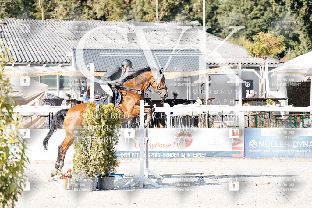 CK907453 | Turnierfotografie Pferdefotografie Trier Rheinland-Pfalz Pferdesport Reitsport Tierfotografie Sportfotografie Pferdevideo Pferdevideografie Equestrianvideography equestrianphotography  - Realisiert mit Pictrs.com