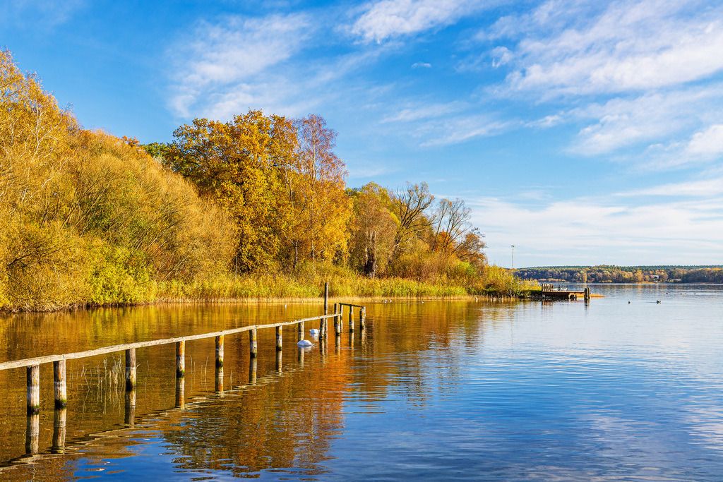 Steg und Bäume am Plauer See in der Stadt Plau am See | Steg und Bäume am Plauer See in der Stadt Plau am See.