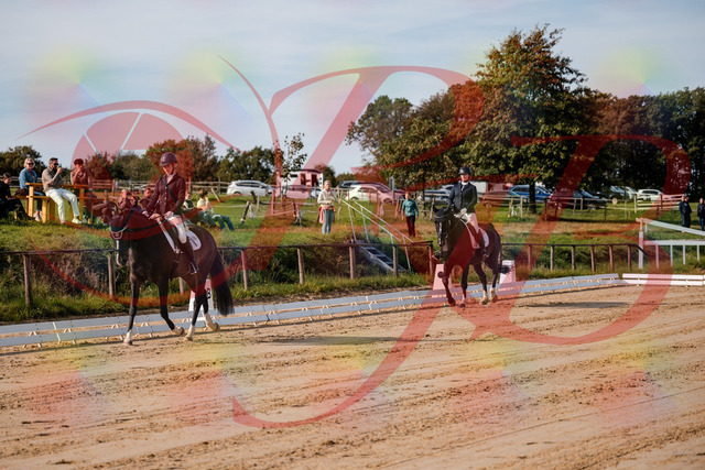 2026_10_03_Siefer-Hof_113252_Z63_19354191 | Professionelle Reitsport-, Turnier- und Eventfotografie von Robert Broda. Galerien mit ausgewählten und bearbeiteten Bildern direkt online ansehen und bestellen.