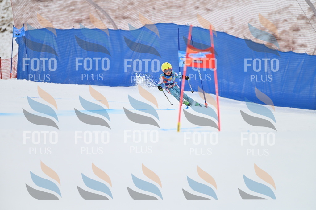 BGV_3237 | holidayphoto