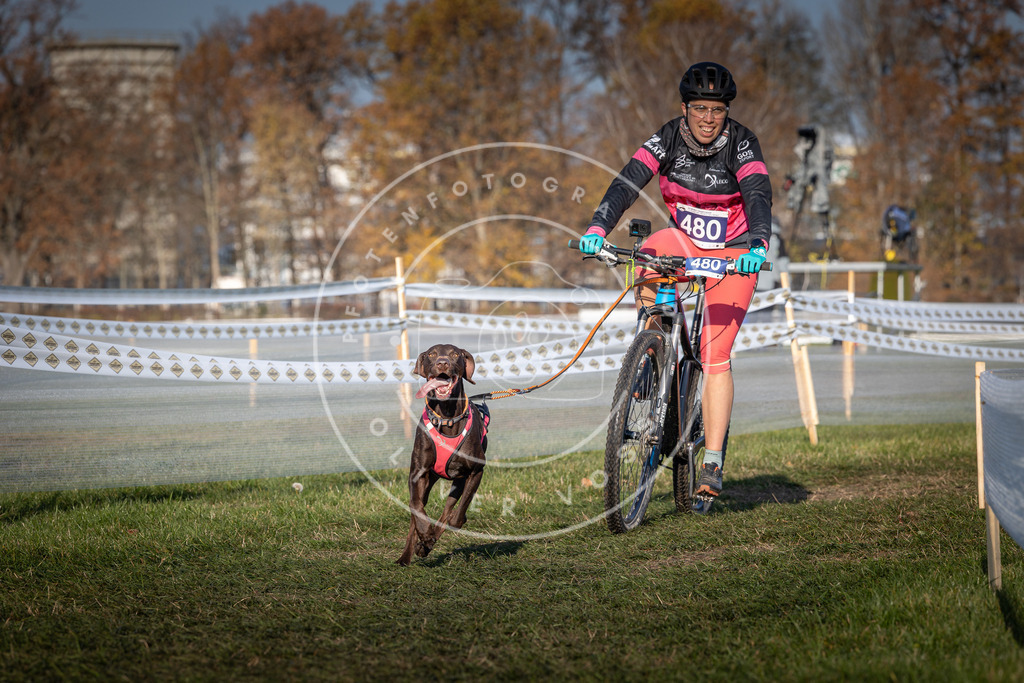 CaniXpix_0L8A4678 | Hundefotografie, Tierfotograf, Pfotenfotografie, Fotoshooting Hund, Hunde Portrait, Hundesport, Hundeportraits, Heideshooting, Hunde, Sportfotograf, Hundefotograf, Turnierhundsport, THS,  - Realisiert mit Pictrs.com