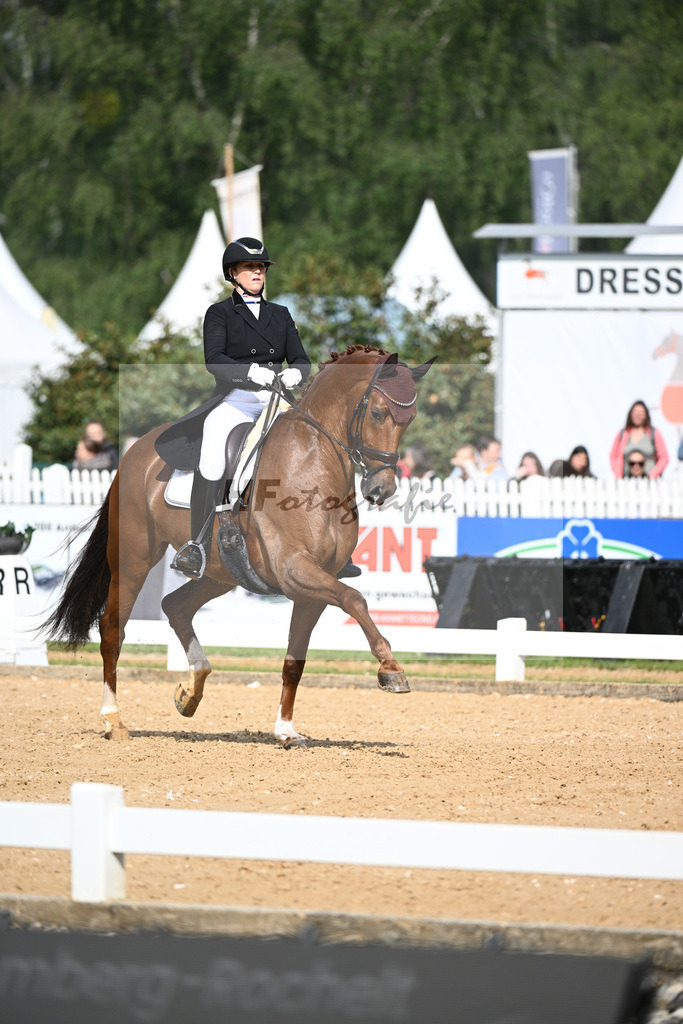 Rhomberg-Rochelt_D Rex RR_12240074 | hf-fotografie - Realisiert mit Pictrs.com