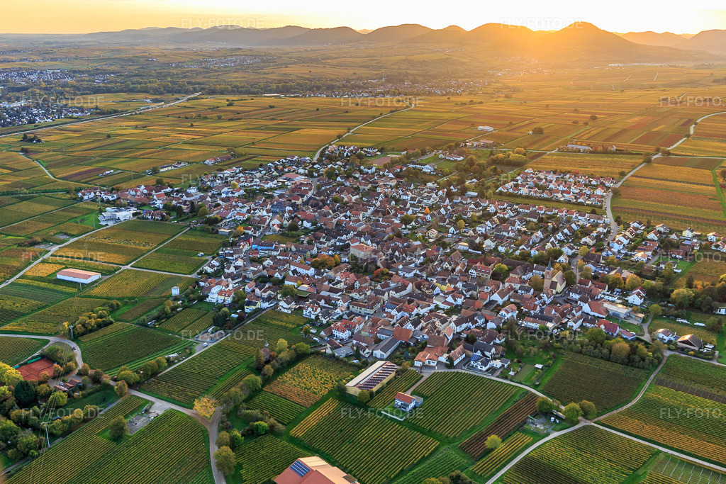 Luftbild: Winzerdorfübersicht aus Osten umgeben von Weinbergen in Herbstfarben im Ortsteil Nußdorf in Landau im Bundesland Rheinland-Pfalz in Deutschland.Foto: IMG_135145.jpg vom 22.10.2022 durch Werner Riehm/FLY-FOTO.deAuflösung des Originals: 5316 x 3544 px