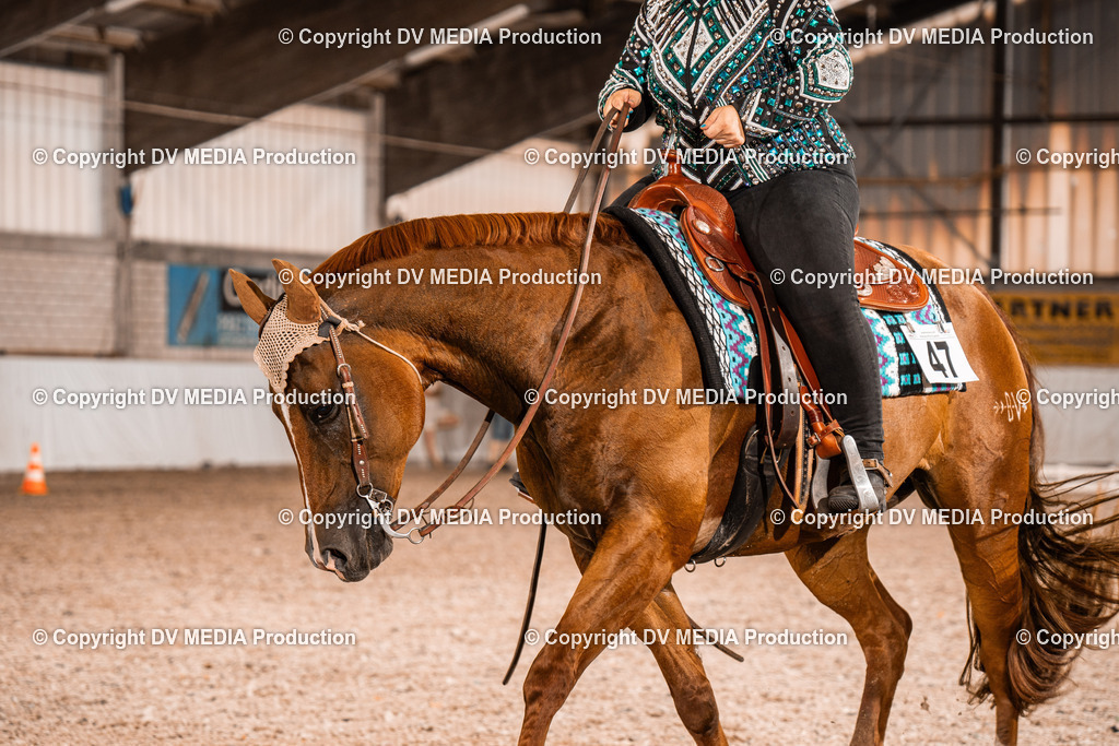 ZH100139 | dv-media-shop - Realisiert mit Pictrs.com