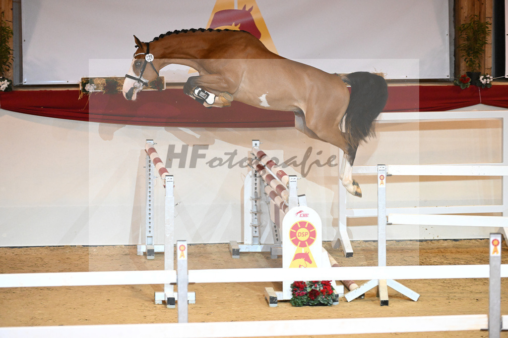 Kat-Nr. 29 Nixon v h Meulenhof_1231033 | hf-fotografie - Realisiert mit Pictrs.com