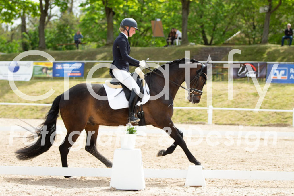 IMG_2710 | Creatify Fotografie