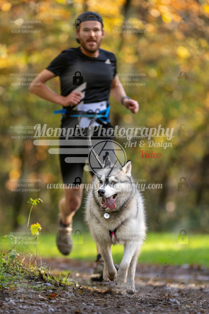 MompixPhotography_Bischwiller23_Canicross-23 | PayLife