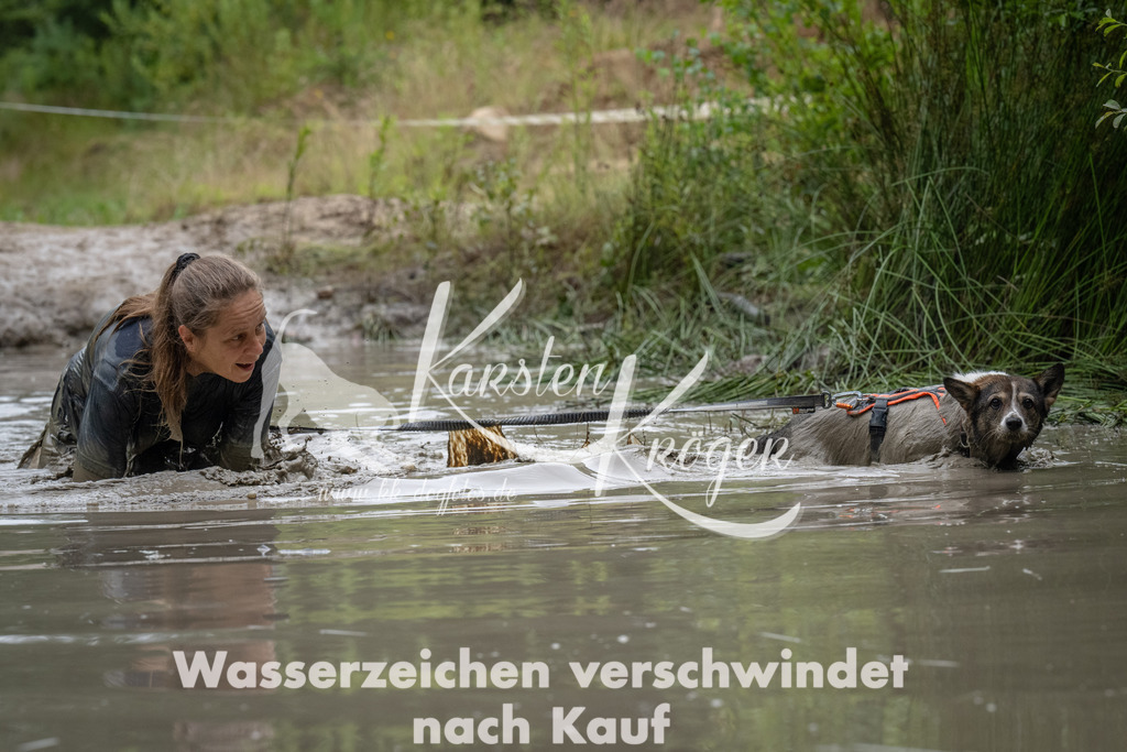 1311_ZZ93601 | kk-dogfotos