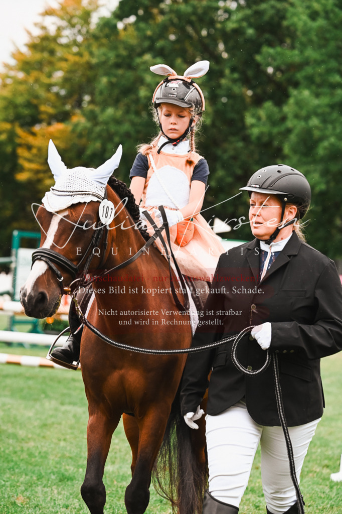 DSC_7322 | Pferde- und Turnierfotografie in Westsachsen. Pferdeportraits, Auftragszeichnungen und intuitive Kunst.
