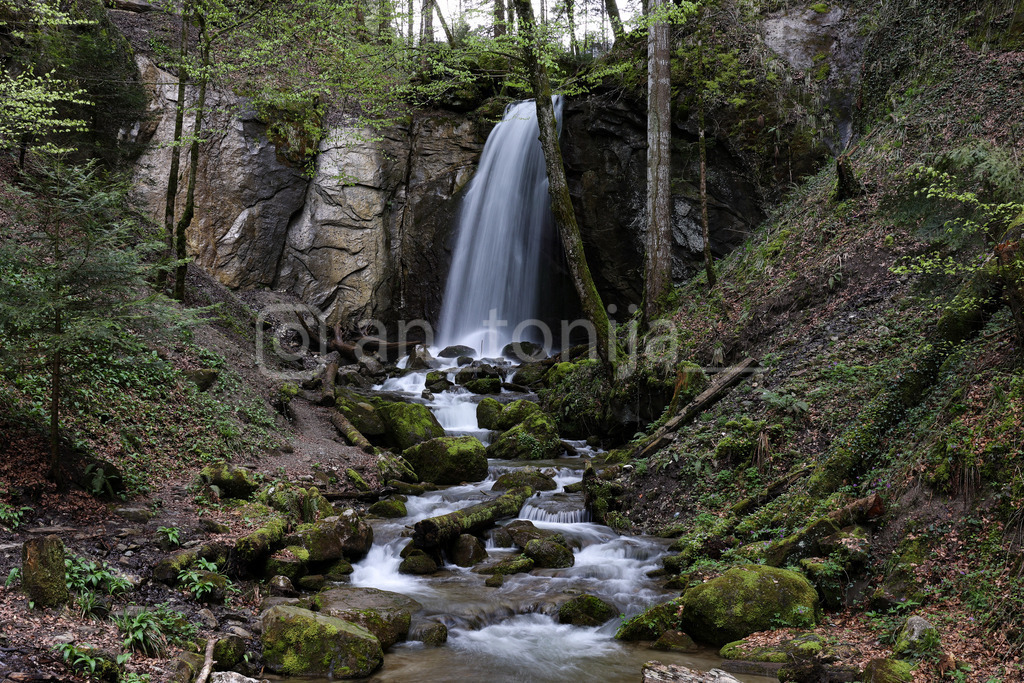 A.Trupina-61 | antonija-trupina - Realisiert mit Pictrs.com