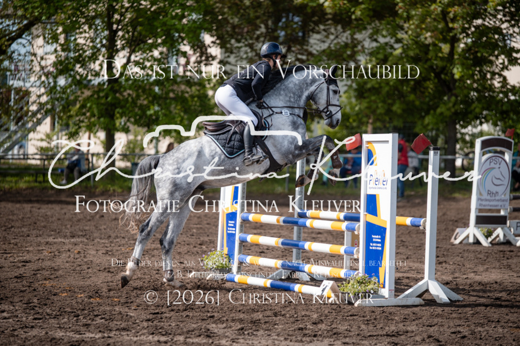 DSC_0402 | Christina-Kleuver
