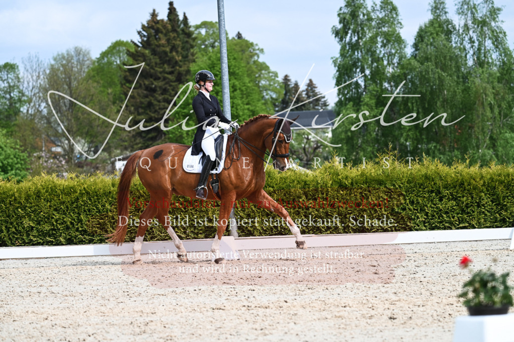 20230513_JK-Röhrsdorf-12-373-2 | Pferde- und Turnierfotografie in Westsachsen. Pferdeportraits, Auftragszeichnungen und intuitive Kunst.