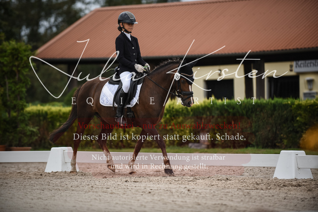 DSC_8112 | Pferde- und Turnierfotografie in Westsachsen. Pferdeportraits, Auftragszeichnungen und intuitive Kunst.