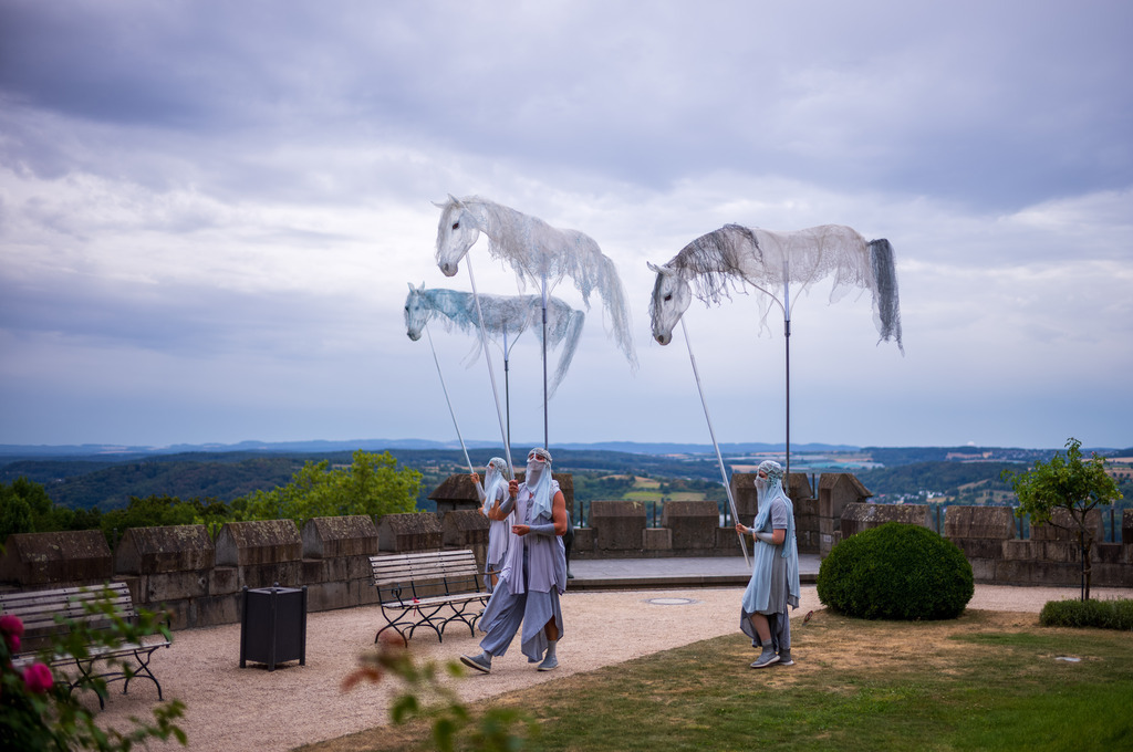 POA | Fest der Fantasie 2026 Schloss Drachenburg - Realisiert mit Pictrs.com