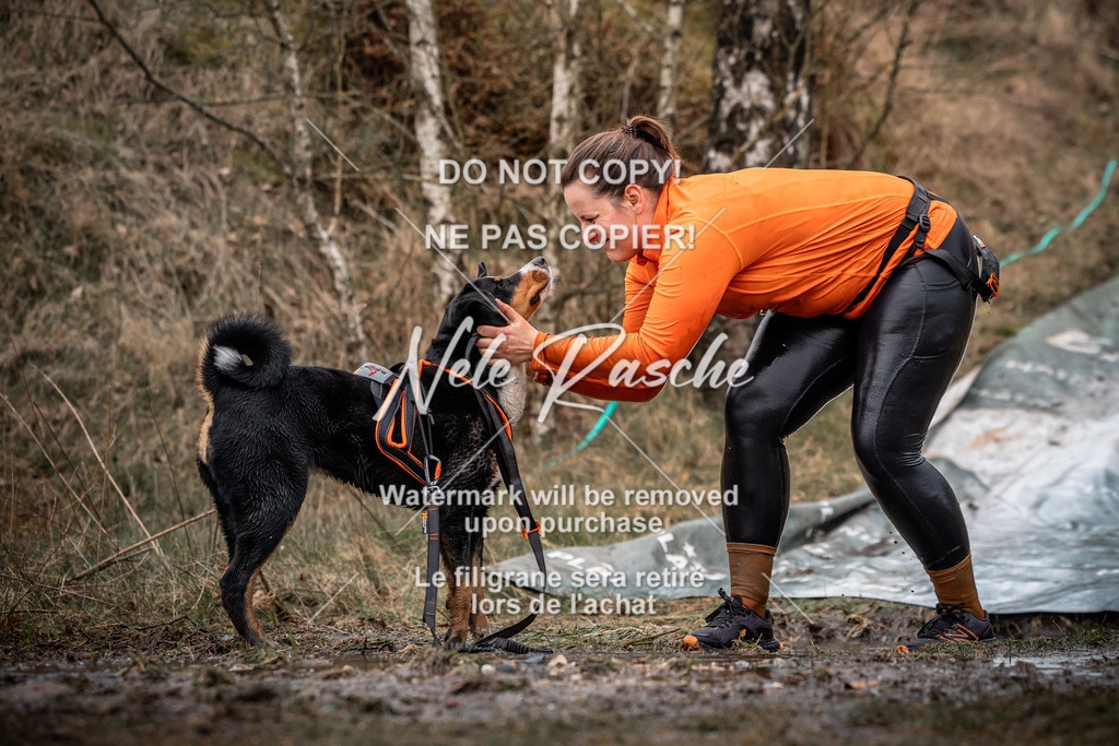 nelerasche_1330-1400_11 | nelerasche