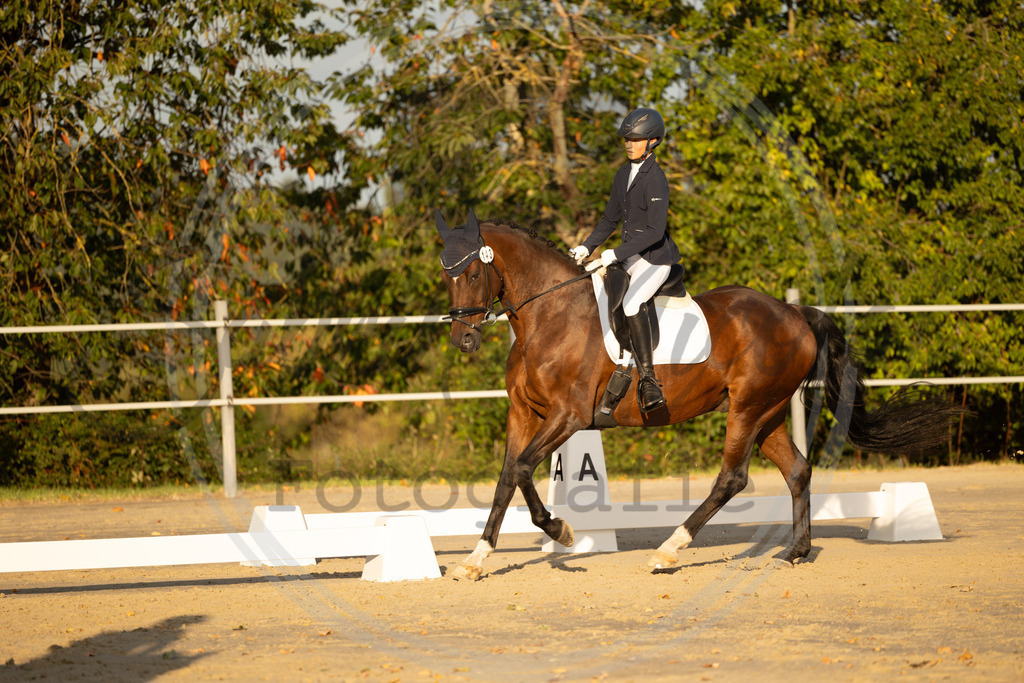 994A0208 | sabrinanicolaifotografie - Realisiert mit Pictrs.com