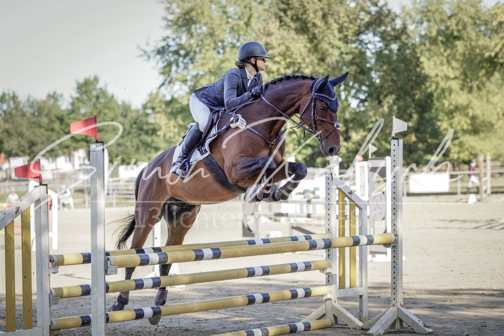 20250906-_3LI3186 | Tierfotografie Pferde, Hunde, Katzen, Haustiere.
Turnierfotografie Reitturniere, Reiten, Springreiten, Dressur in Hanau, dem Main-Kinzig-Kreis und dem Rhein-Main- Gebiet um Frankfurt