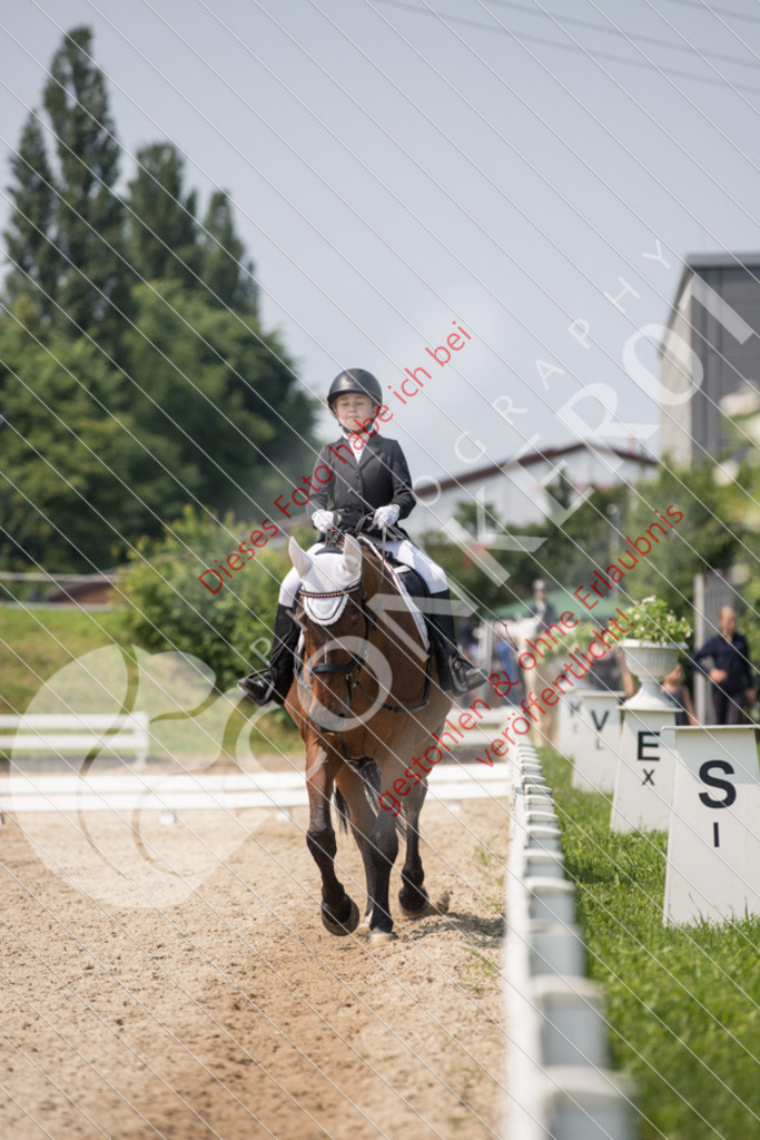 IMG_3526 | Sport-, Event- und Tierfotos in Profiqualität. Einfach auswählen, bestellen und herunterladen. Dein Moment – perfekt festgehalten.