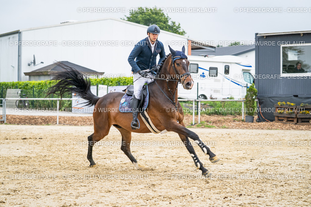 DSC00759 | Pferdegrafie