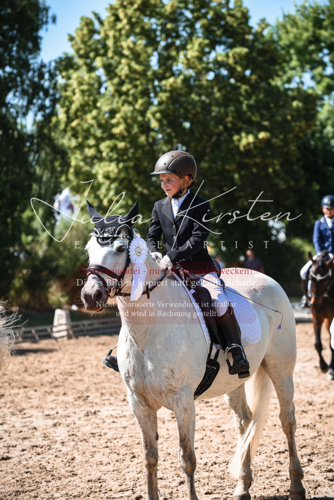 DSC_3663 | Pferde- und Turnierfotografie in Westsachsen. Pferdeportraits, Auftragszeichnungen und intuitive Kunst.