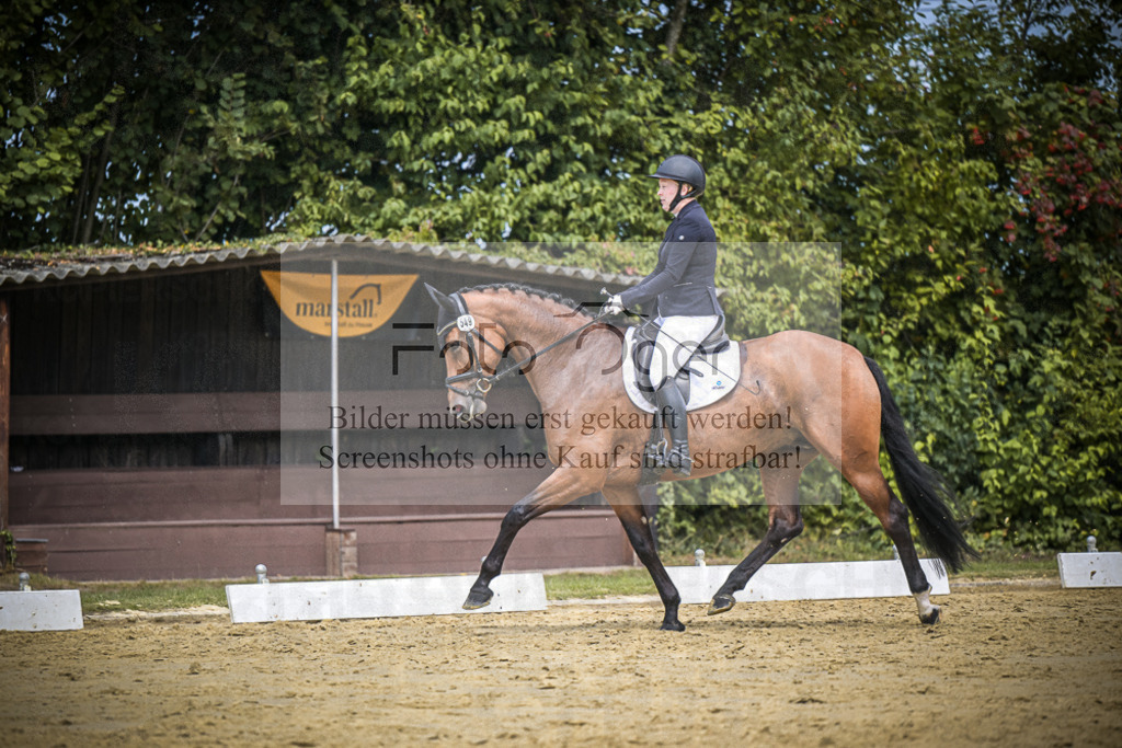 DOS_3887 | Entdecke hochwertige Reitturnierfotos von Foto Oger. Professionell, emotional und authentisch – jetzt Lieblingsmomente im Shop bestellen.Deutschlandweite Turnierfotografie. - Realisiert mit Pictrs.com