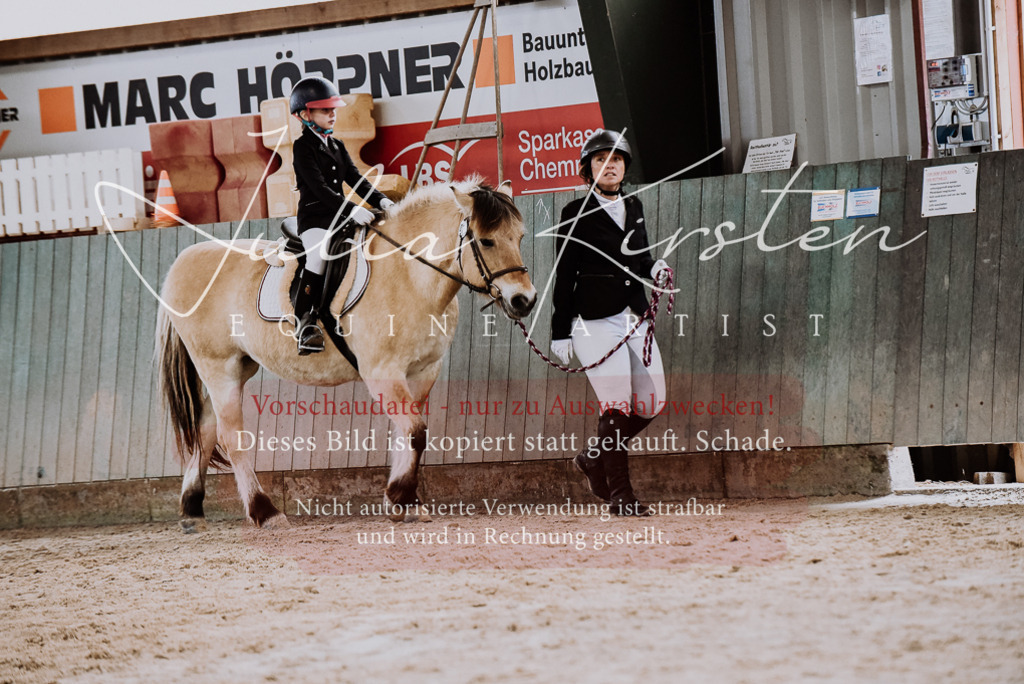 DSC_6856 | Pferde- und Turnierfotografie in Westsachsen. Pferdeportraits, Auftragszeichnungen und intuitive Kunst.