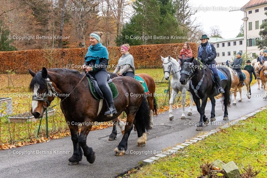 LL25-133 | foto-bettina-krinner - Realisiert mit Pictrs.com