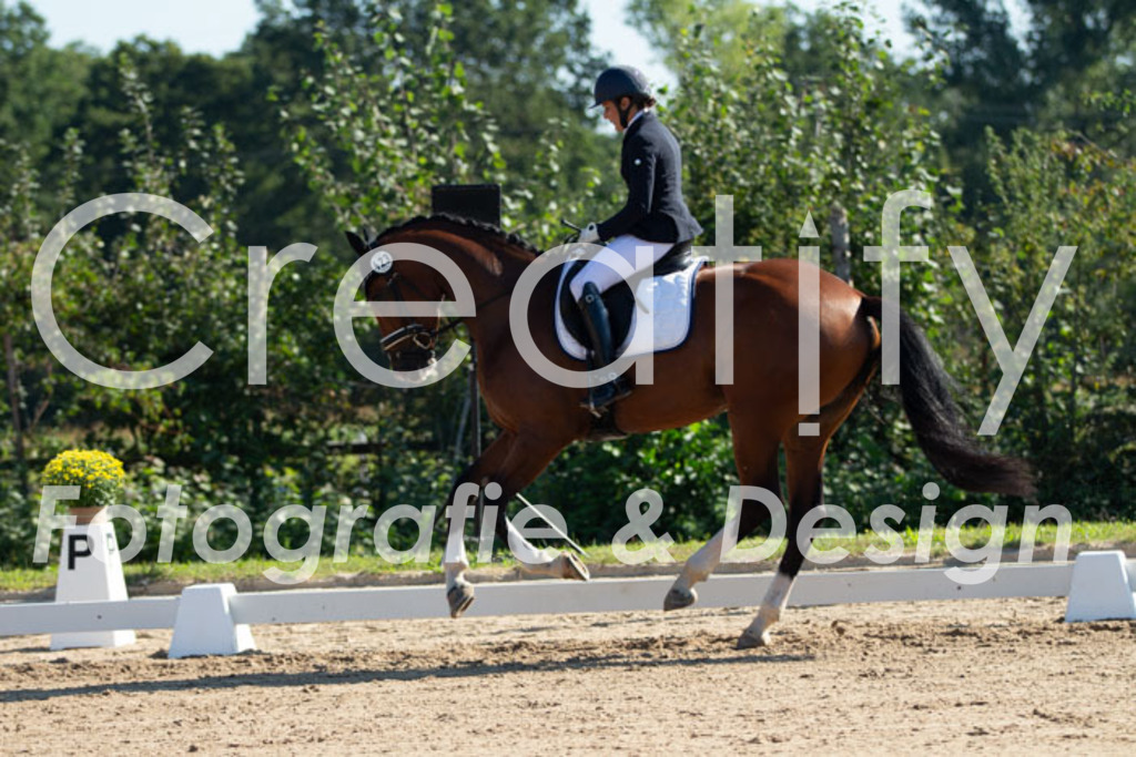 IMG_7610 | Creatify Fotografie