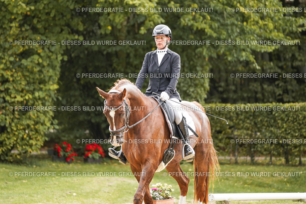 DSC01554 | Pferdegrafie