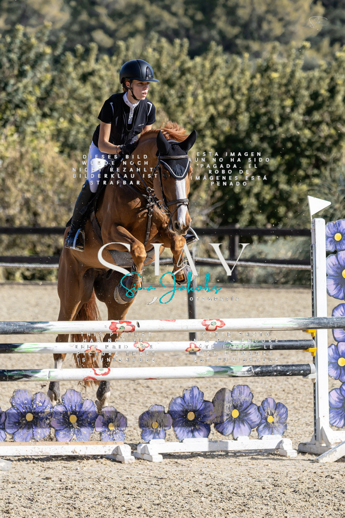 IMG_0690 | s-jay-photography - Realisiert mit Pictrs.com