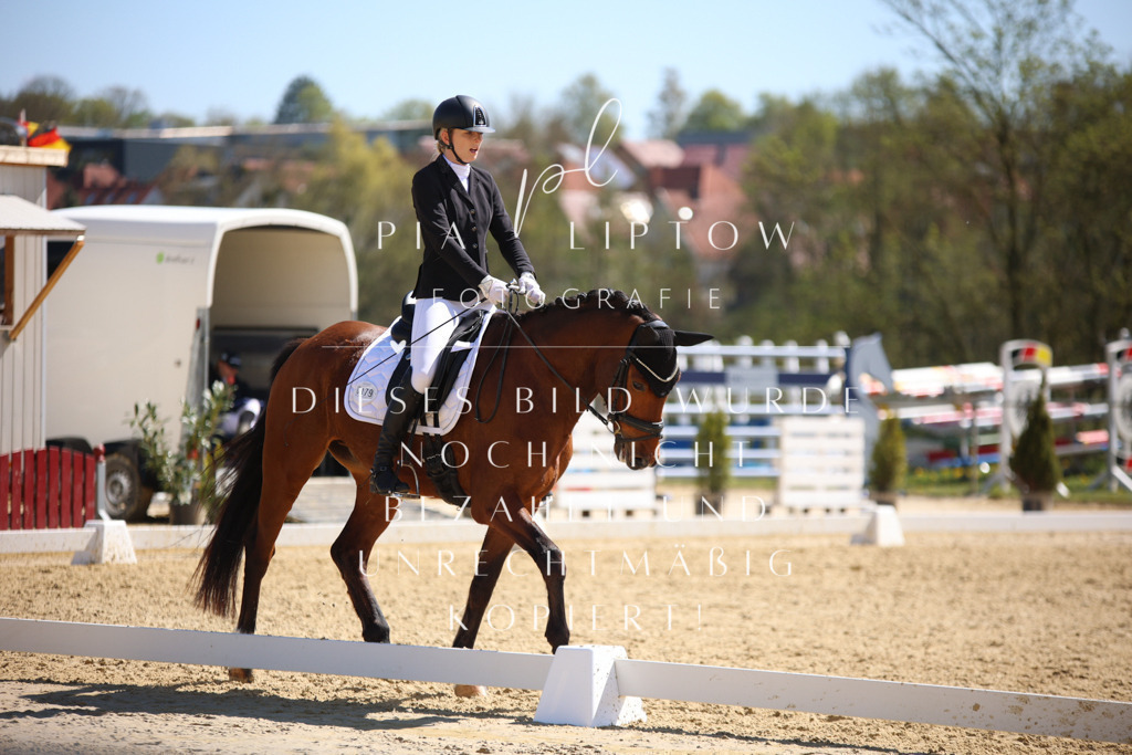 IMGT1502 | pl-fotografie