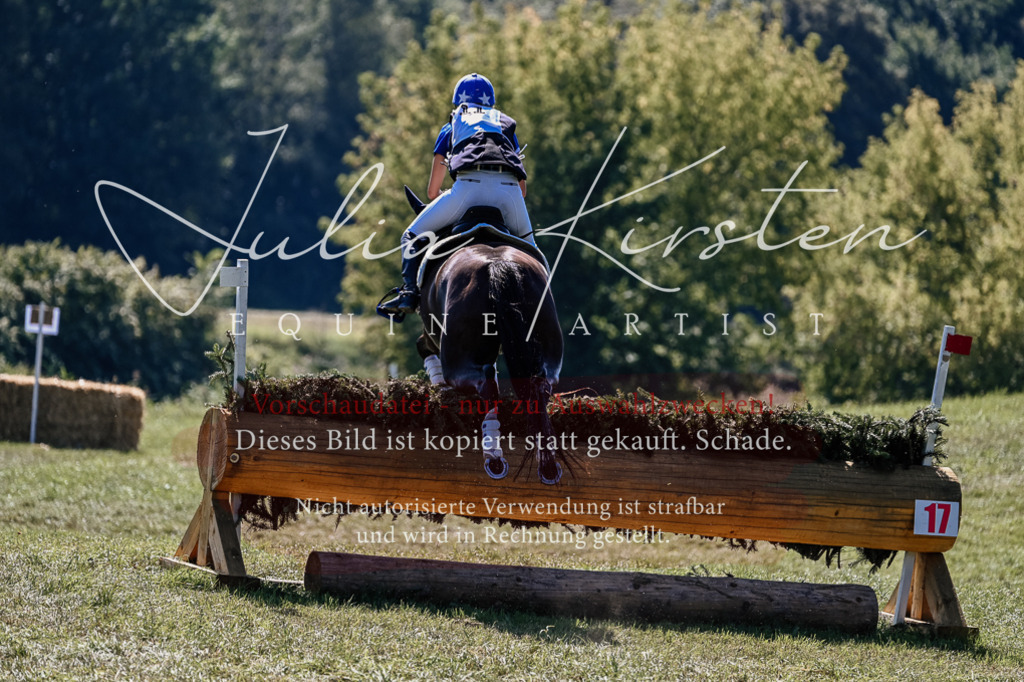 DSC_1713 | Pferde- und Turnierfotografie in Westsachsen. Pferdeportraits, Auftragszeichnungen und intuitive Kunst.