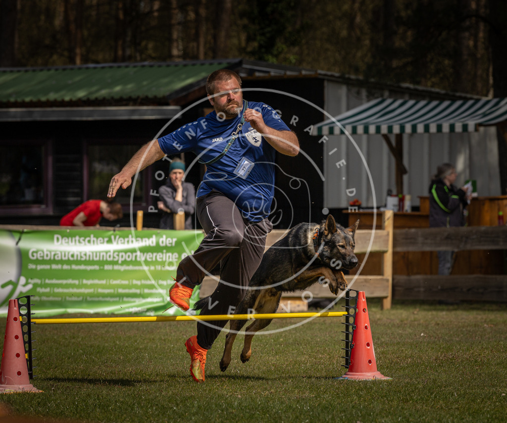 Pfotenfotografie_DV3A3853 | Hundefotografie, Tierfotograf, Pfotenfotografie, Fotoshooting Hund, Hunde Portrait, Hundesport, Hundeportraits, Heideshooting, Hunde, Sportfotograf, Hundefotograf, Turnierhundsport, THS,  - Realisiert mit Pictrs.com