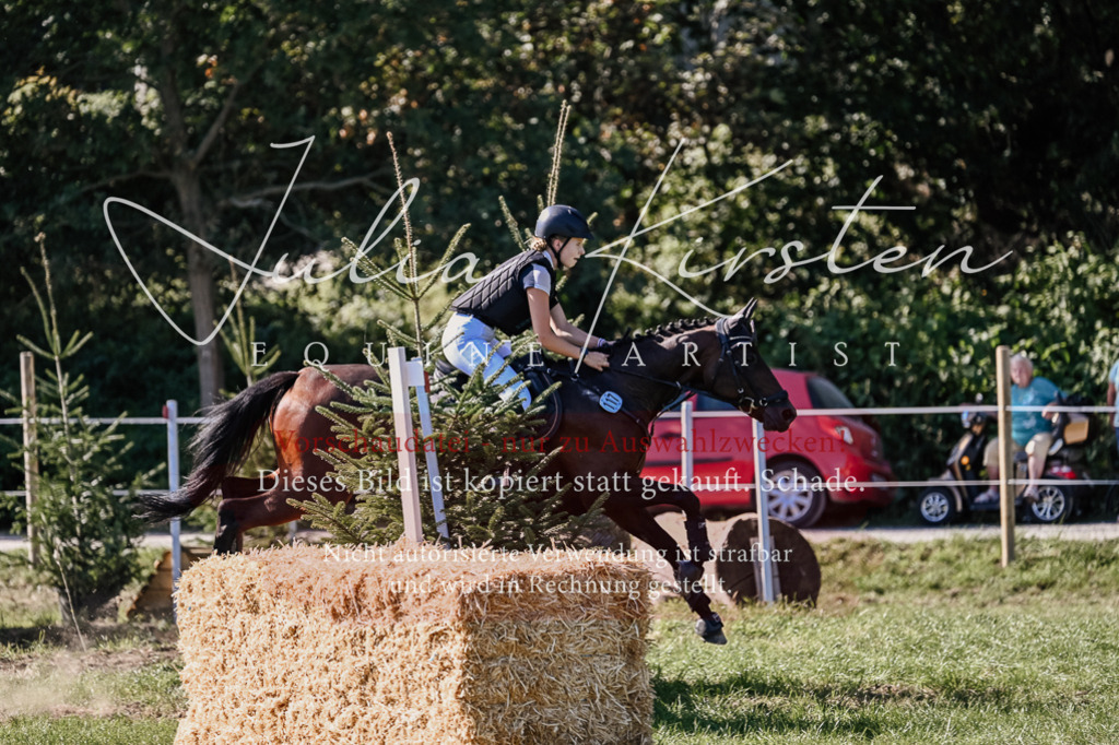 DSC_3277 | Pferde- und Turnierfotografie in Westsachsen. Pferdeportraits, Auftragszeichnungen und intuitive Kunst.