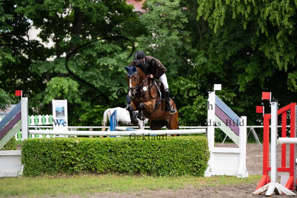 A7V05130 | Pferdefotograf