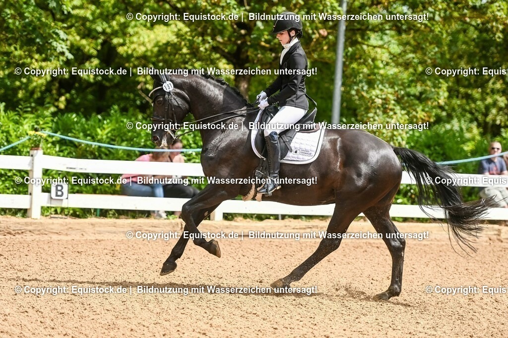 20230716_01_Dressurprüfung Kl.M_0035 | equistock