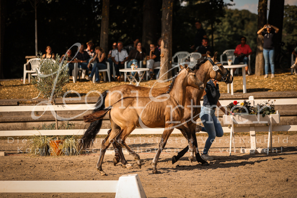 11.DoRP00011 | Leoni Ertmer Photography - Realisiert mit Pictrs.com