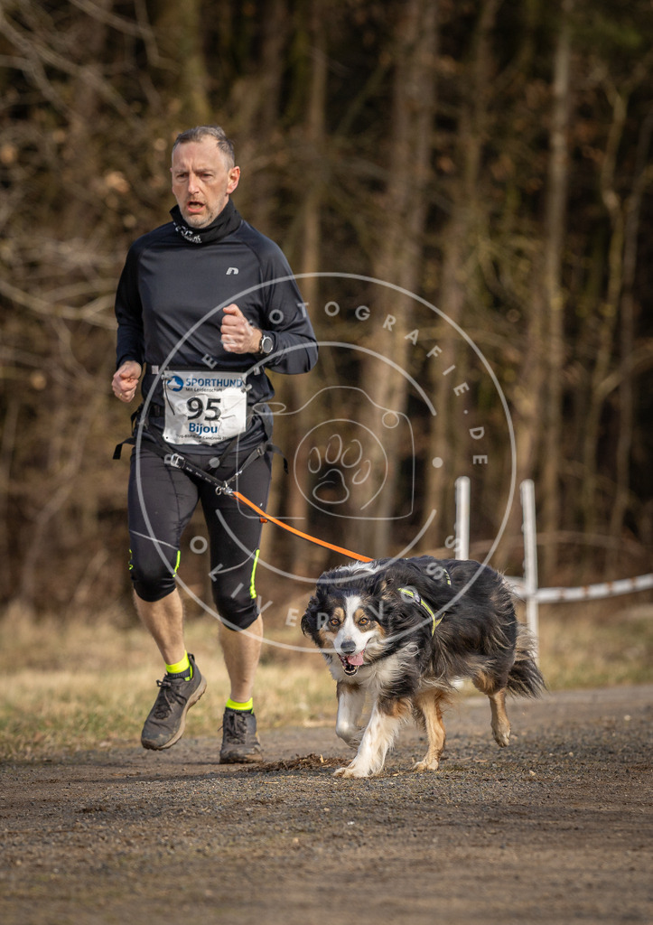 DV3A3916 | Hundefotografie, Tierfotograf, Pfotenfotografie, Fotoshooting Hund, Hunde Portrait, Hundesport, Hundeportraits, Heideshooting, Hunde, Sportfotograf, Hundefotograf, Turnierhundsport, THS,  - Realisiert mit Pictrs.com