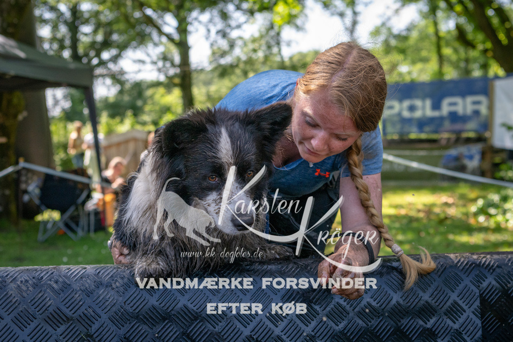 1342_ZZ92026 | kk-dogfotos