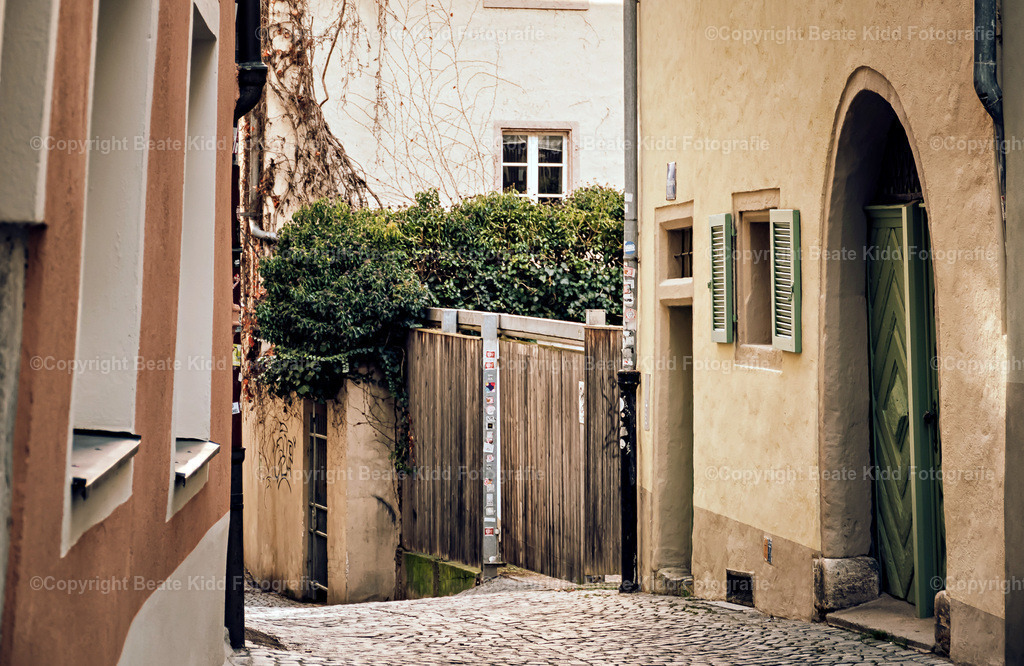 P1640116 | beatekidd-fotografie - Realisiert mit Pictrs.com